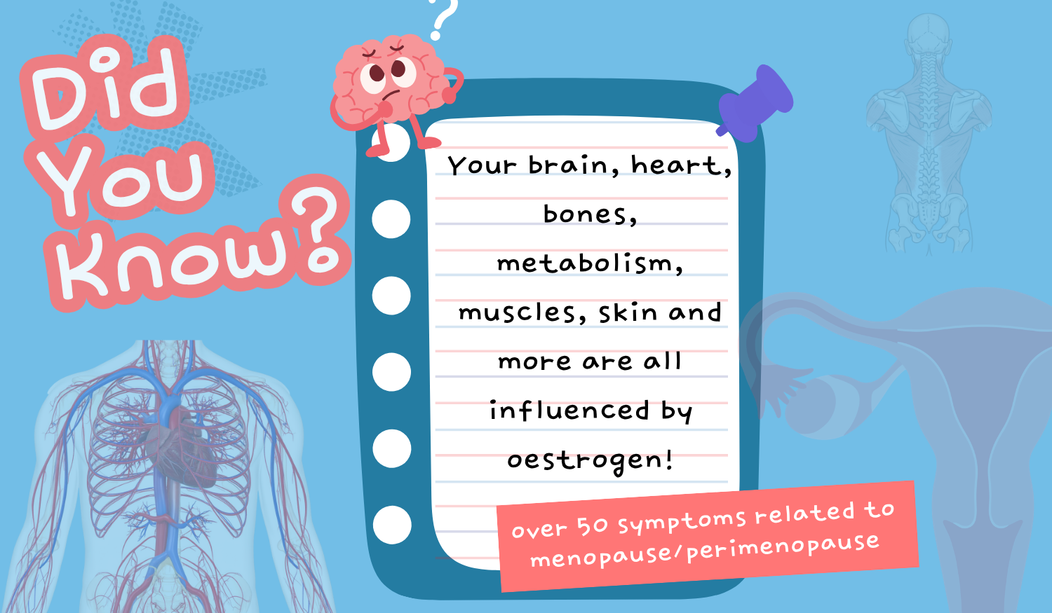 did you know - oestrogen?
